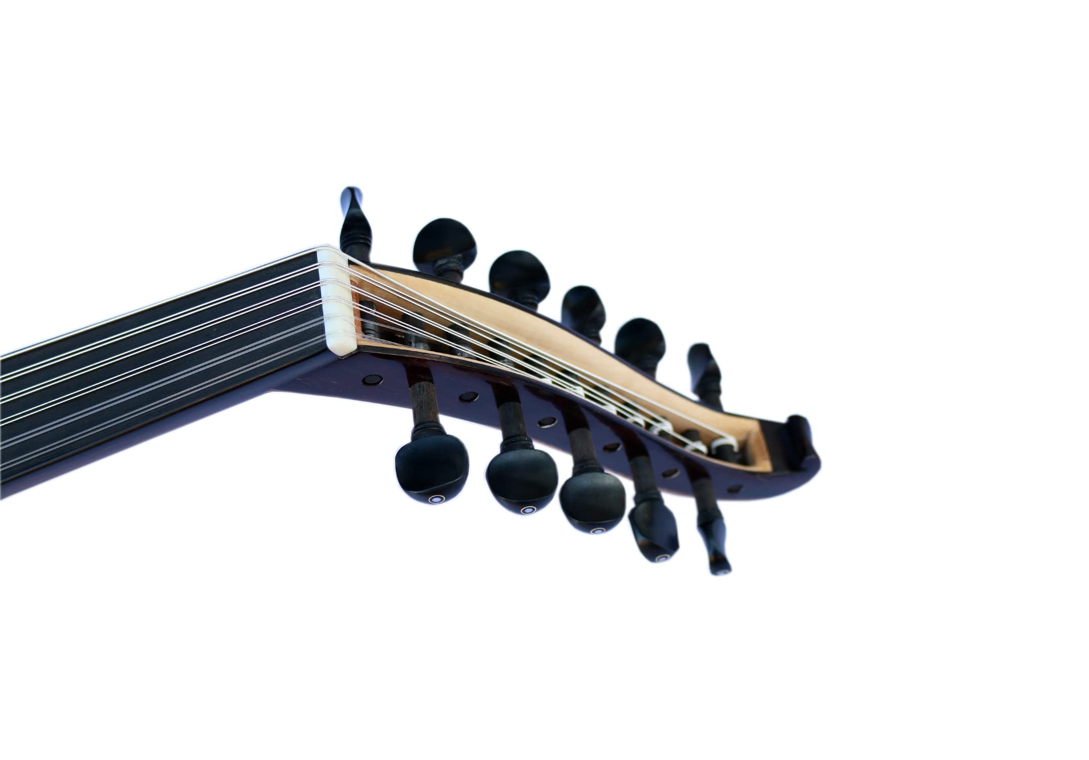 Amazon.com: Special Nigra Turkish Oud Ud Aoud String Musical Oud
